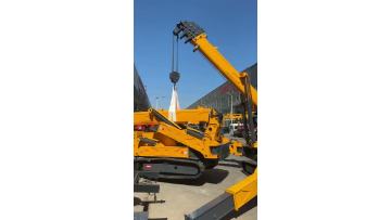 Top-Quality Spider Crane 10 ton