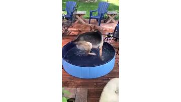 Customize Pet Swimming Pool Pet Supplies Pet Cleaning