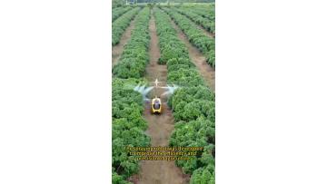 DC Servo Solution for Spraying Robots
