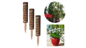Coconut Palm Climbing Stick