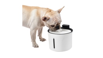 Pet water fountain