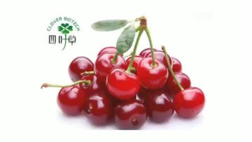 Acerola Cherry extract.mp4