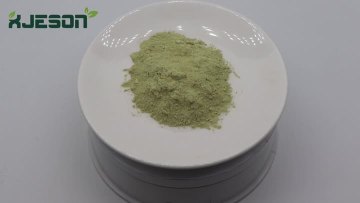 Rutin Powder