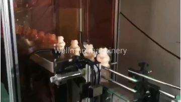 Leakage detection machine for milk bottles/jelly cups detection machine1