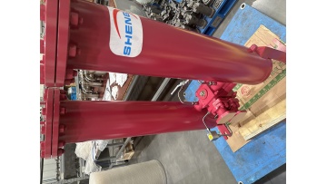 SDRFLD Duplex Tube Inline Filter