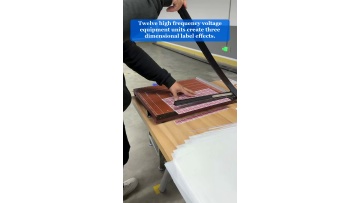 Video 15