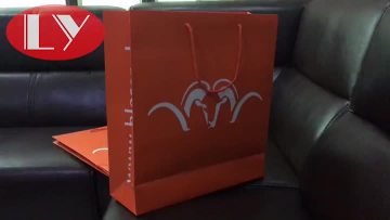 large shopping bag