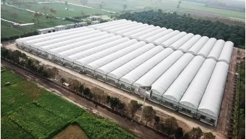agricultural venta de plastico tunel invernaderos-industrial used inflatable greenhouse frames for sale1