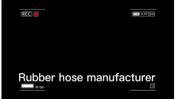 Rubber hose assembly