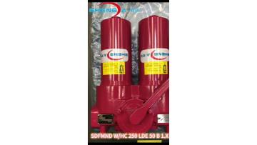 Duplex Filter