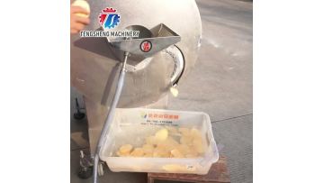 TS-Q128D commercial potato chip slicer