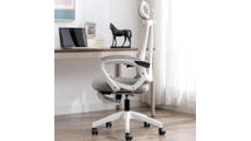 Adjustable Height Ergonomic Mesh Office Chair with Excellent Backrest1