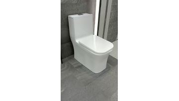 Bathroom Sanitary Ware Siphonic Ceramic One Piece Toilet