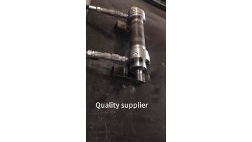 80 45-250 High temperature resistant hydraulic cylinder