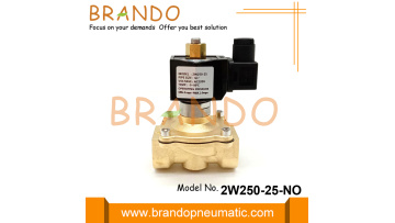 2W250-25-NO 1'' Normally Open Brass Water Solenoid Valve