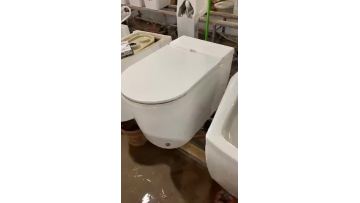 pulse toilet flushing 1