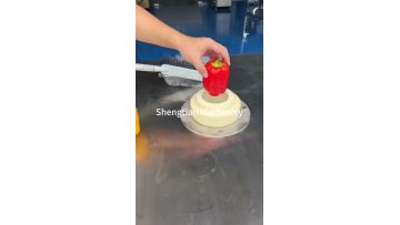 Fruit and Vegetable Segmenting Machine
