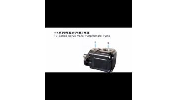 T7 Series servo vane pump