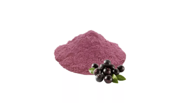 maqui berry powder