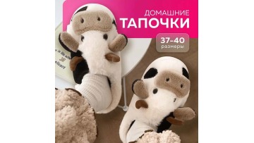 Gift & Home Slippers