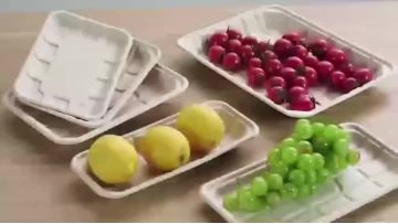paper fruit tray making machine equipment