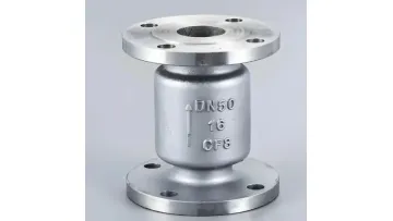 Ductile Iron Silent Check Valve with Flange Connections for Drinking Irrigation Water1