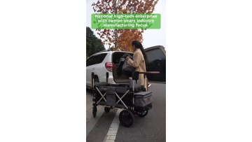 Video 36