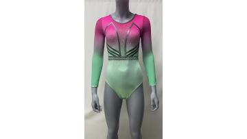 long sleeve gymnastic leotards