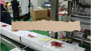 automatic box  wrapping machine