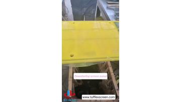 Dewatering Screen Panel 4