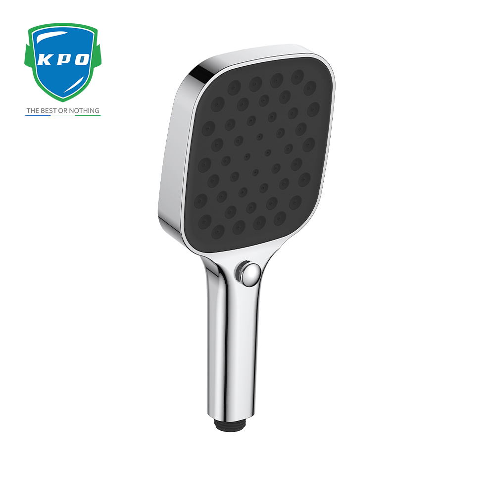 Hand Held Shower 2 Jpg