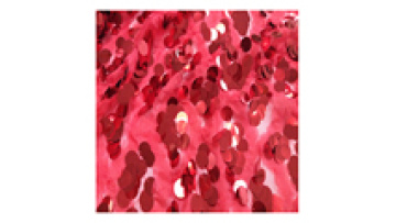 2024 Hot Multicolor Fish Scale Sequin Lace Mesh Fabric For Stage Decoration Apparel Fabric1