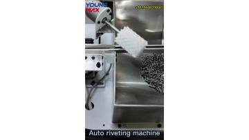 Youngmax auto riveting machine
