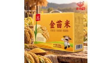 Golden Seedling Rice Gift Box