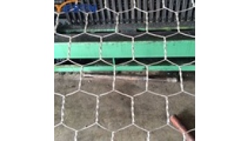 Hengshui Galvanized PVC Coated Hexagonal Iron Chicken Coop Wire Netting for Sale1