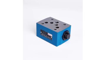 Z2S10 check valve