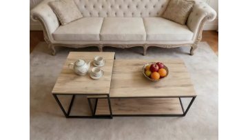 BR-24NC01 Sleek Modern Two-Piece Coffee Table Set for Contemporary Living Spaces