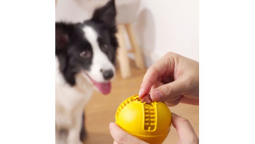 interactive ball toy