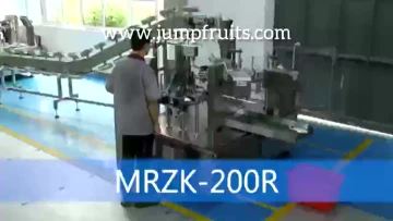 Weighing Packaging Machine for Bag Noodles