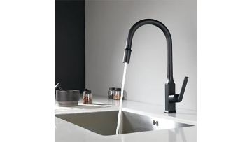 Kitchen Sink Mixer - DL-05 067-BK
