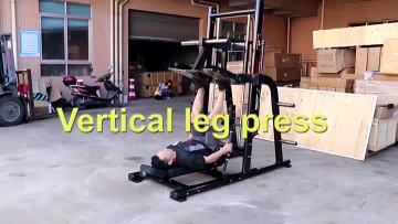 Vertical leg press