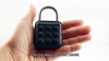 DY31 Password lock