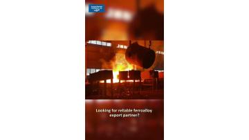 Reliable metal & alloy solutions for your business growth