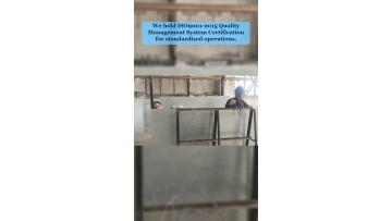 Video 31