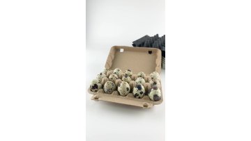 Accept customized printing 15 holes pulp quail egg boxes at factory price1