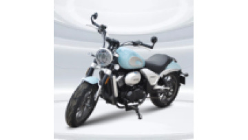 popular cool racing motorcycle for adults long range 130km/h disc brake 250cc motor gasoline bike1