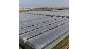 Film Multi-span Greenhouse