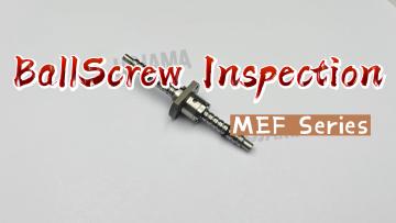 Ball screws and nut