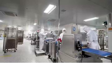 Matcha Flavored Cookies