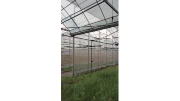 Film multi-span Greenhouse-1